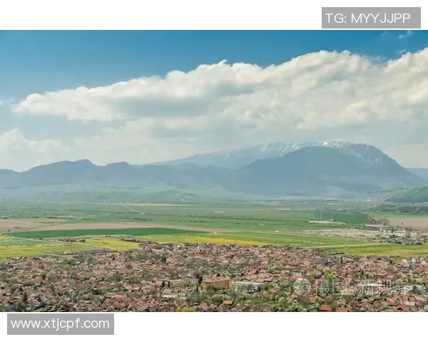 瓦尼亚足球明星阵容全景展示及精彩瞬间回顾